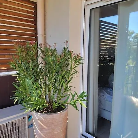 Appartement Pont Du Gard, Remoulins Exterior photo